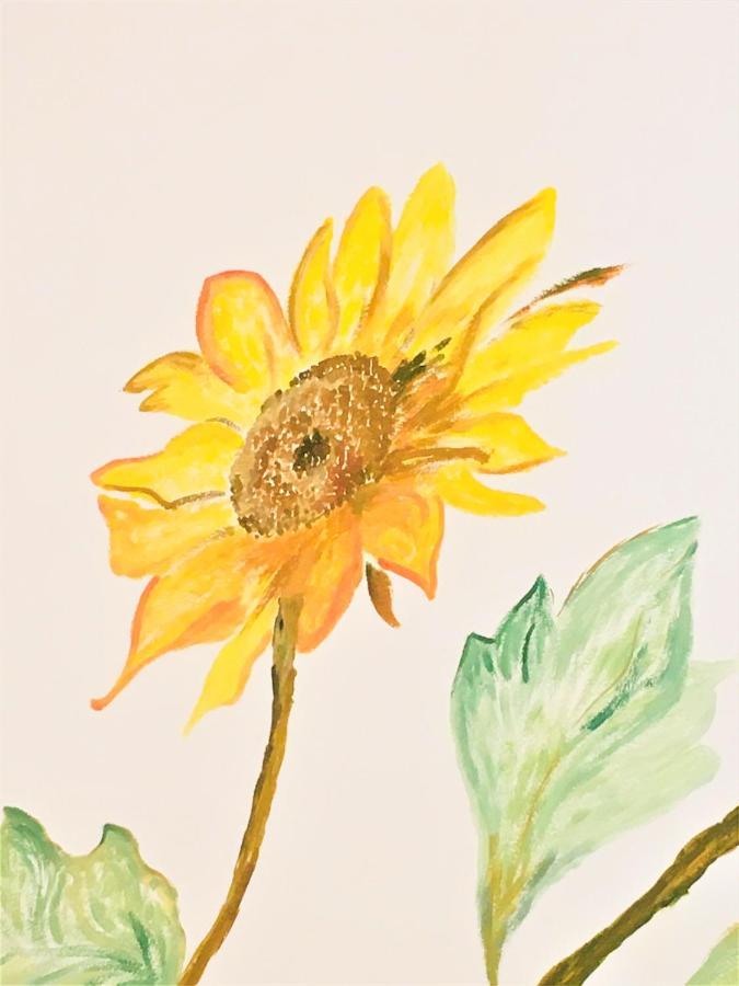 דירות קאפרינו ורונזה Il Girasole מראה חיצוני תמונה